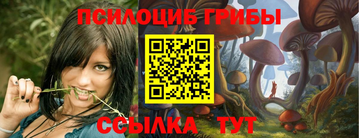 Псилоцибиновые грибы Magic Shrooms Таганрог
