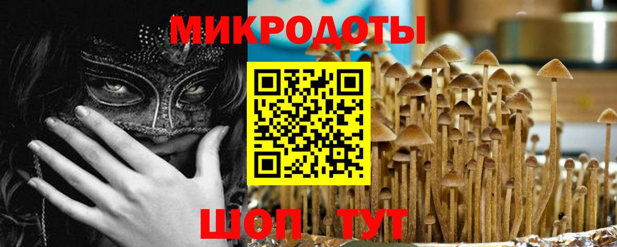Псилоцибиновые грибы GOLDEN TEACHER  магазин продажи   Псилоцибиновые грибы мицелий  Таганрог  Вход с VPN 